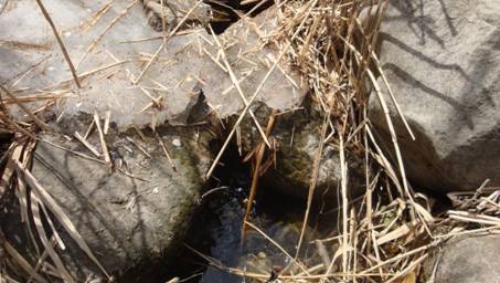 L:\4.16 神堂峪\DSC03299.JPG